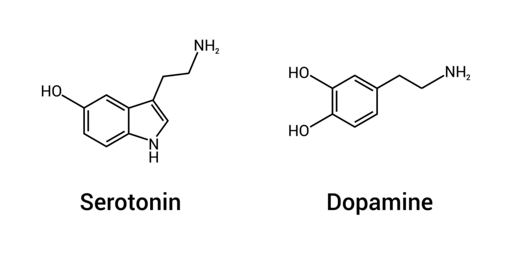 Serotine en Dopamine